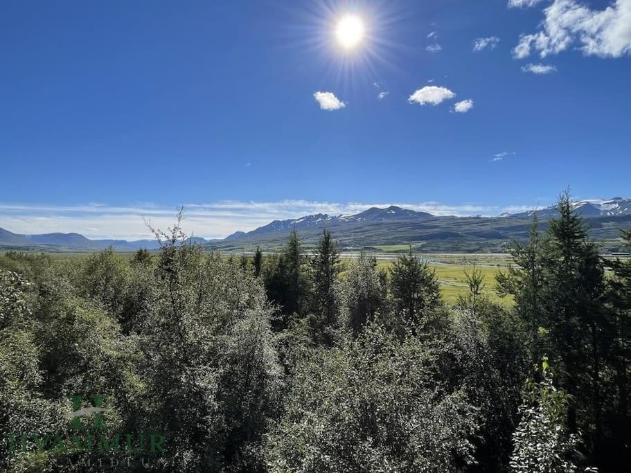 Forest Hideaway Near Akureyri Dış mekan fotoğraf